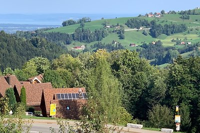 Allegra Appenzell