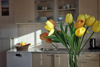 apartman za odmor Obiteljski odmor Dornum