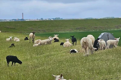 Vakantieappartement Gezinsvakantie Norden-Norddeich