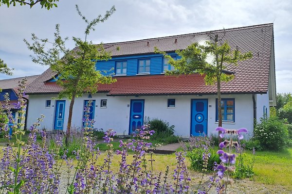 Ferienwohnung Dranske