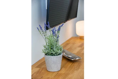 Cottage im Gutspark, FeWo Perlie
