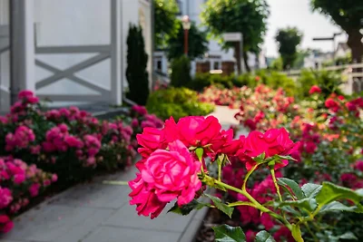 Liebevoll angelegter Garten Liebevoll angelegter Garten