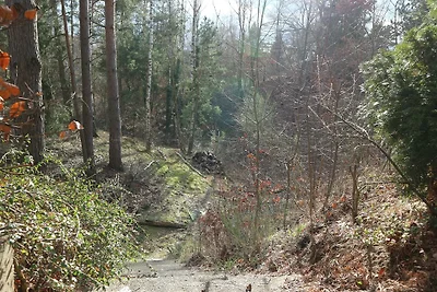 Ferienhaus mit Pool zum Träumen