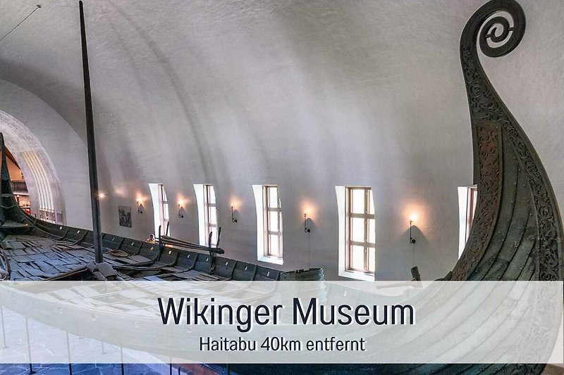 Wikinger-Schiffe und Harfe im Museum Haitabu