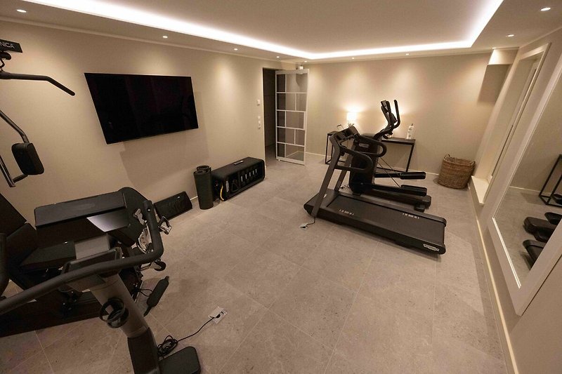 Im Souterrain befindet sich ein Fitnessraum mit Geräten der Marke Techno Gym.