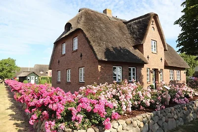 Casa vacanze Vacanza di relax Dunsum