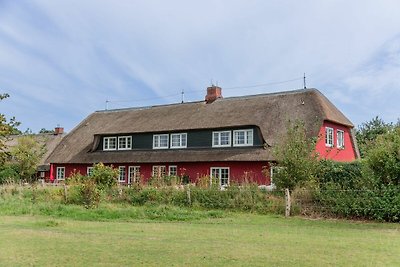 Vakantieappartement Gezinsvakantie Wyk