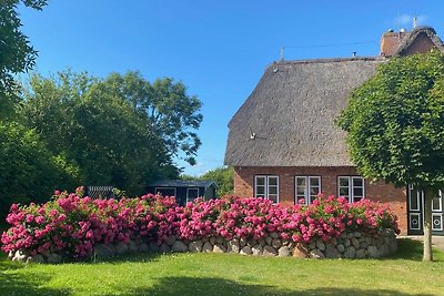 Vakantiehuis Ontspannende vakantie Oevenum