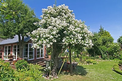 Vakantieappartement Gezinsvakantie Westerland
