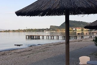 Geweldige zomervakantie!