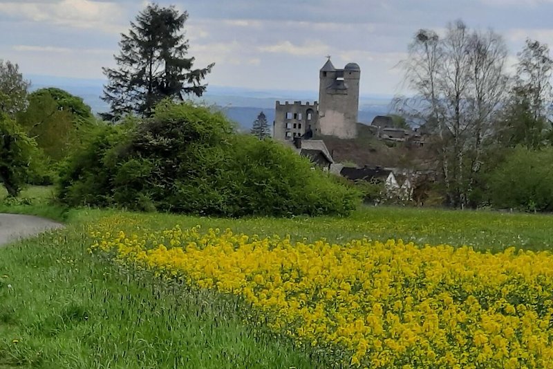 Burg Greifenstein mit Glockenmuseum