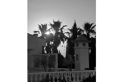 Wohnung Torrevieja mit Pools