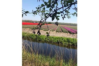 Park Wildrijk 103