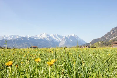 Haus Alpspitzblick Harmonie