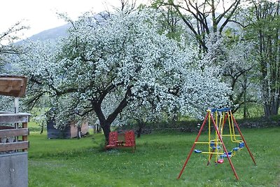 Haus der Natur