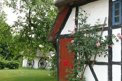 Reetdachkate Schafweide