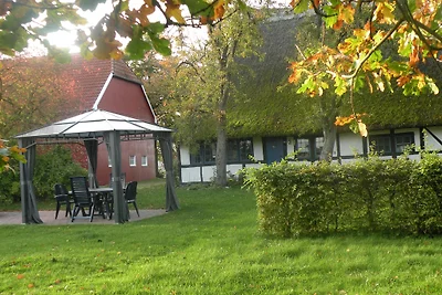 Reetdachkate Schafweide