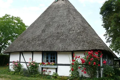 Reetdachkate Schafweide