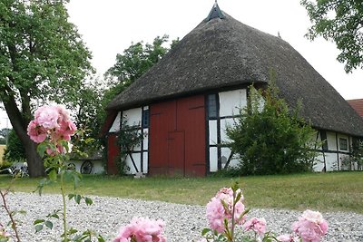 Thatched Roof Cottage Sheep Pasture