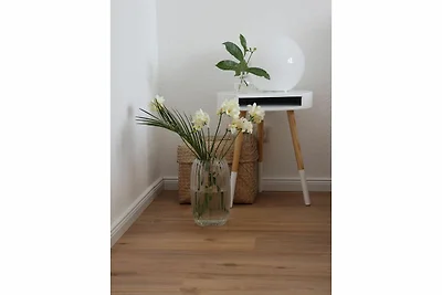 Zur Hanse Wohnung 1.1