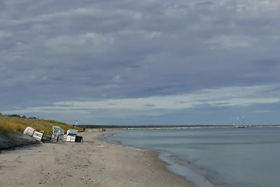 Hafenstrasse 15 in Prerow Ibykus in Prerow