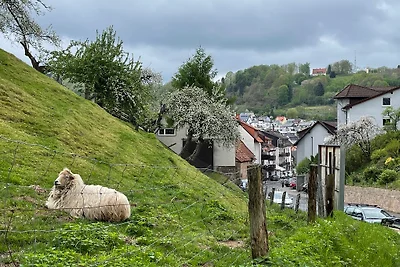 Bad Orb Haus Altenberg ,Heilbad