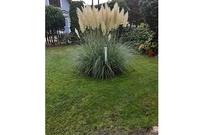Vakantiehuis in Lukecin Łukęcin