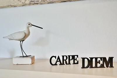 Carpe Diem Appartement 088