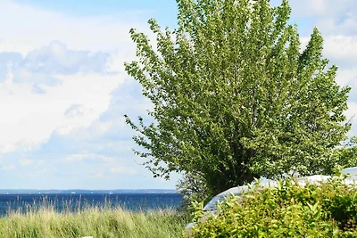Vakantieappartement Gezinsvakantie Haffkrug