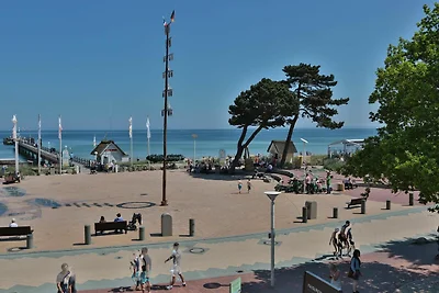 Haus Stranddistel Stranddistel Appartement 2