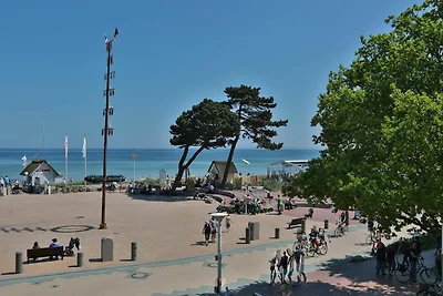 Haus Stranddistel Stranddistel Appartement 2