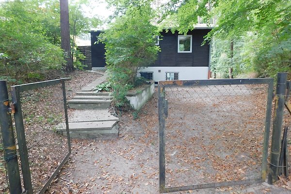 Ferienhaus Zempin