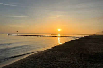 MehrZeit auf Usedom