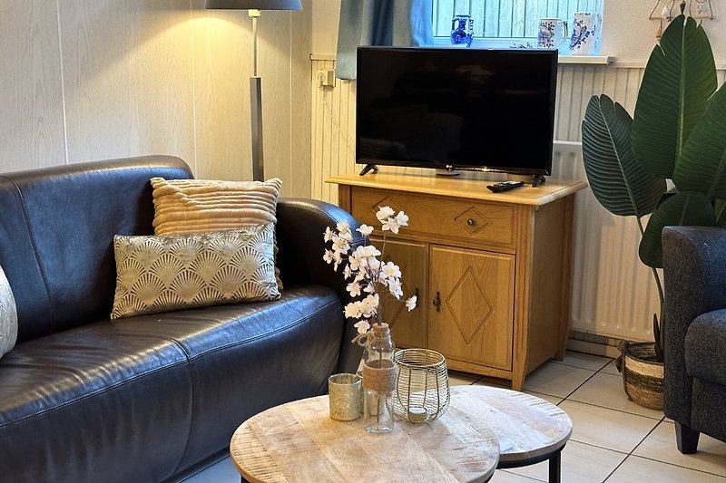 Stilvolles Wohnzimmer mit bequemer Couch, Fernseher und Pflanze.