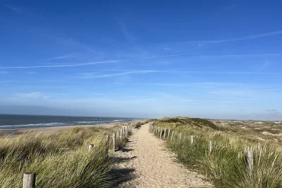 Gezellige studio | Strand 16 |