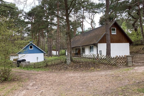 Ferienhaus Karlshagen