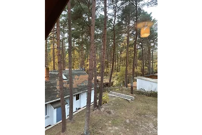Doppelhaushälfte D1