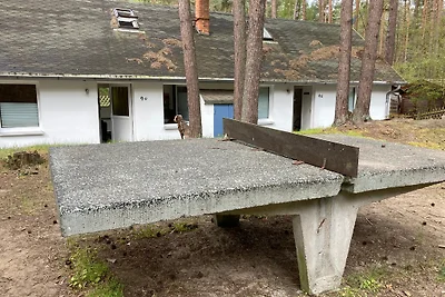 Doppelhaushälfte D1