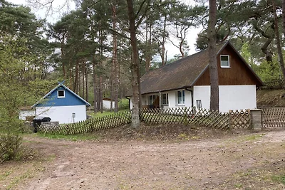 Doppelhaushälfte D1