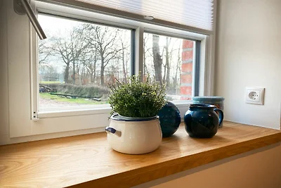 Alte Scheune - Hofblick
