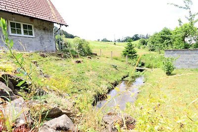 Ferienhaus Flechtdorfer Waldblick