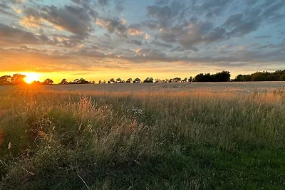 BeltBlick 30