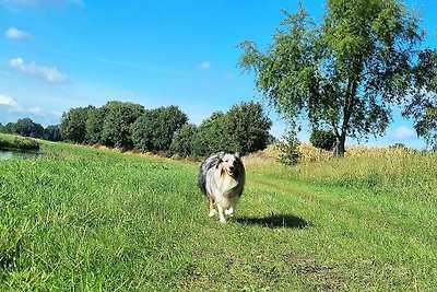 Vakantiehuis Ontspannende vakantie Dagebüll