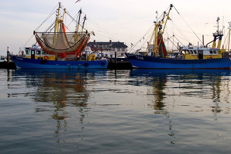 Hafen Oudeschild