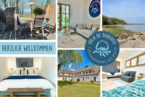 Ferienwohnung Alt Reddevitz