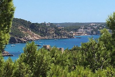 FeWo Traum in Villa Paguera