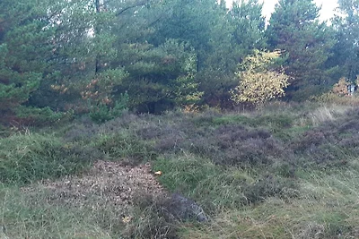 Gemütlichkeit ist Gesichert