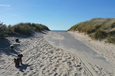 Ferienhaus Village Zeeland