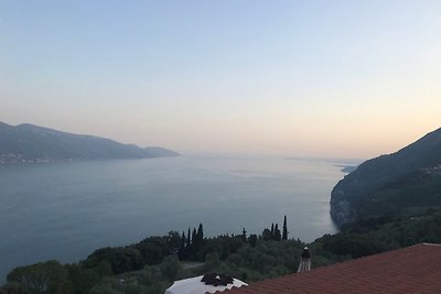 Il belvedere