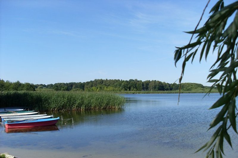 Badestelle Grimnitzsee